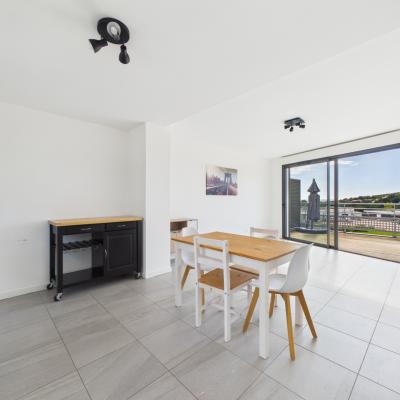 A Vendre appartement F2 Porticcio avec grande terrasse résidence récente