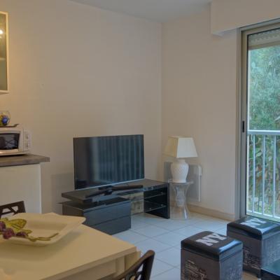 A louer F2 meublé Sanguinaires sejour