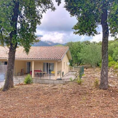 Maison à louer plaine de Peri proche Ajaccio