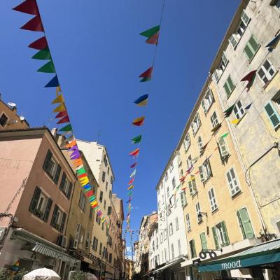 F2 A VENDRE RUE FESCH