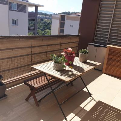 F3 à louer Terrasses du Parc  terrasse