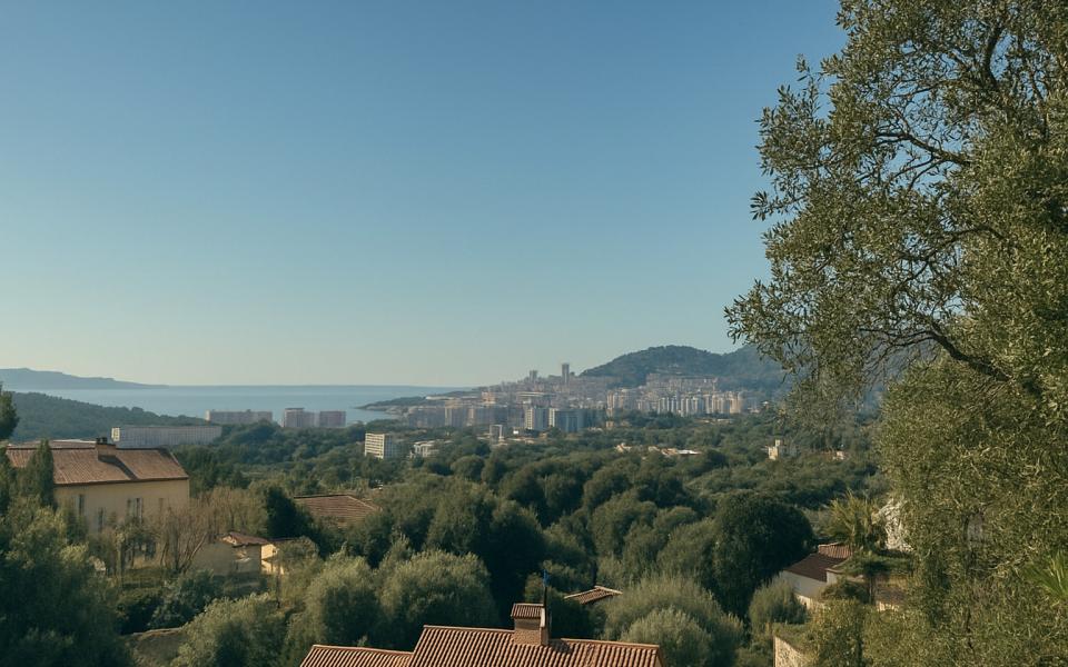 MAISON - DOMAINE DE SUARTELLO