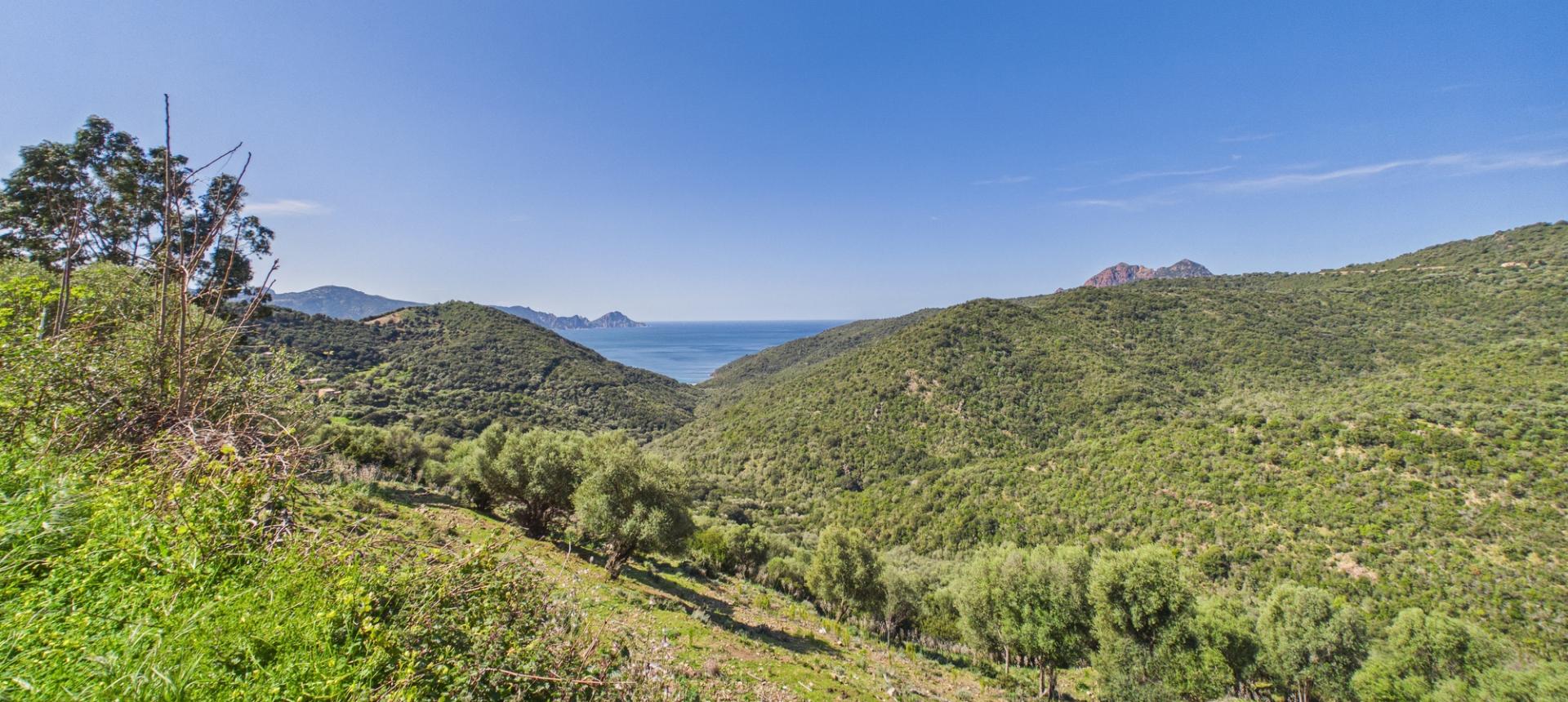 A vendre Bas de Maison de village - Vue Mer - Partinello