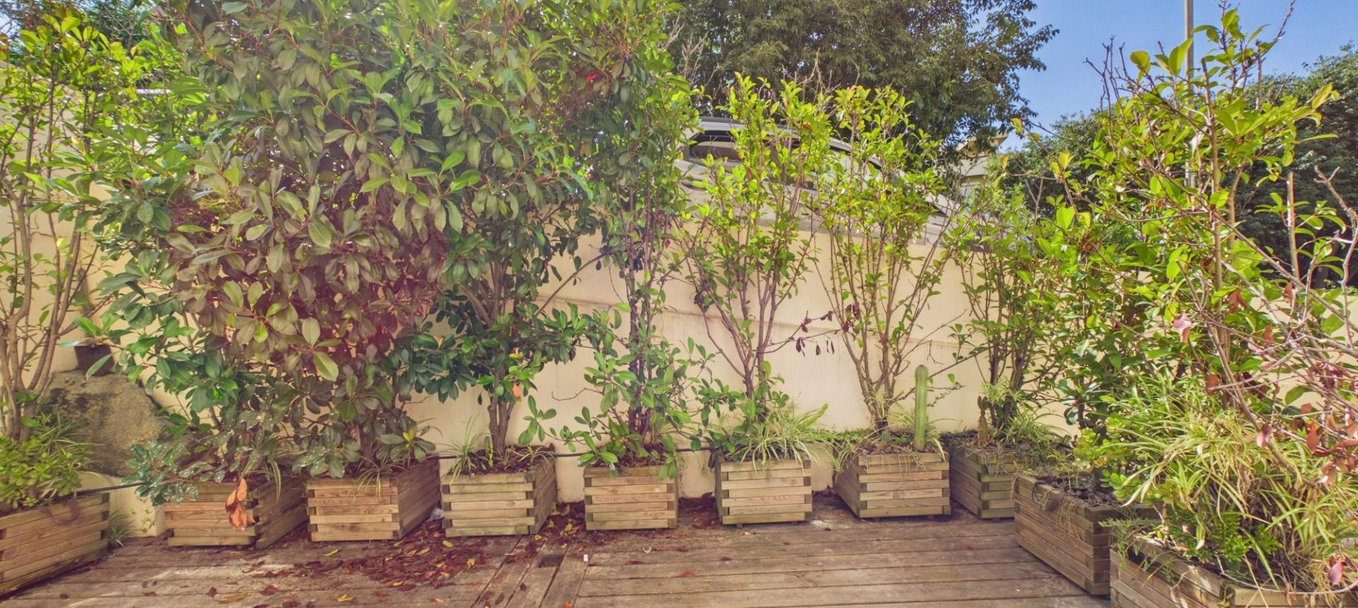 A VENDRE F4 AVEC TERRASSE PARC CUNEO D'ORNANO