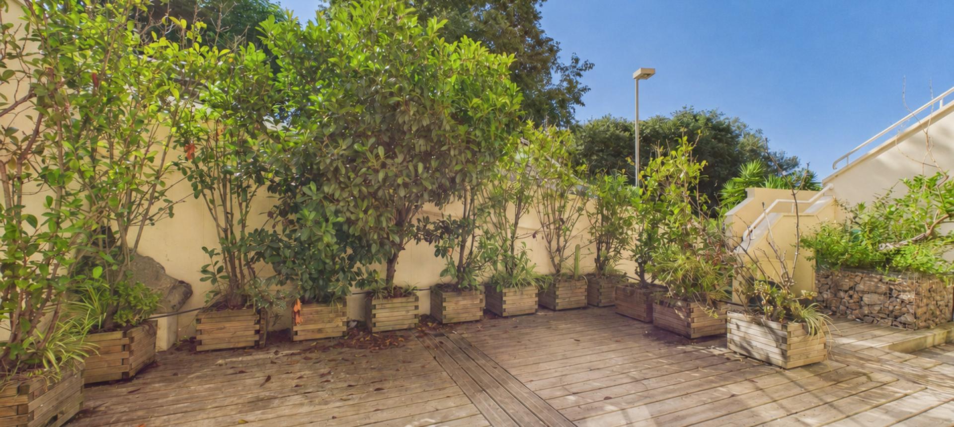 A VENDRE F4 AVEC TERRASSE PARC CUNEO D'ORNANO