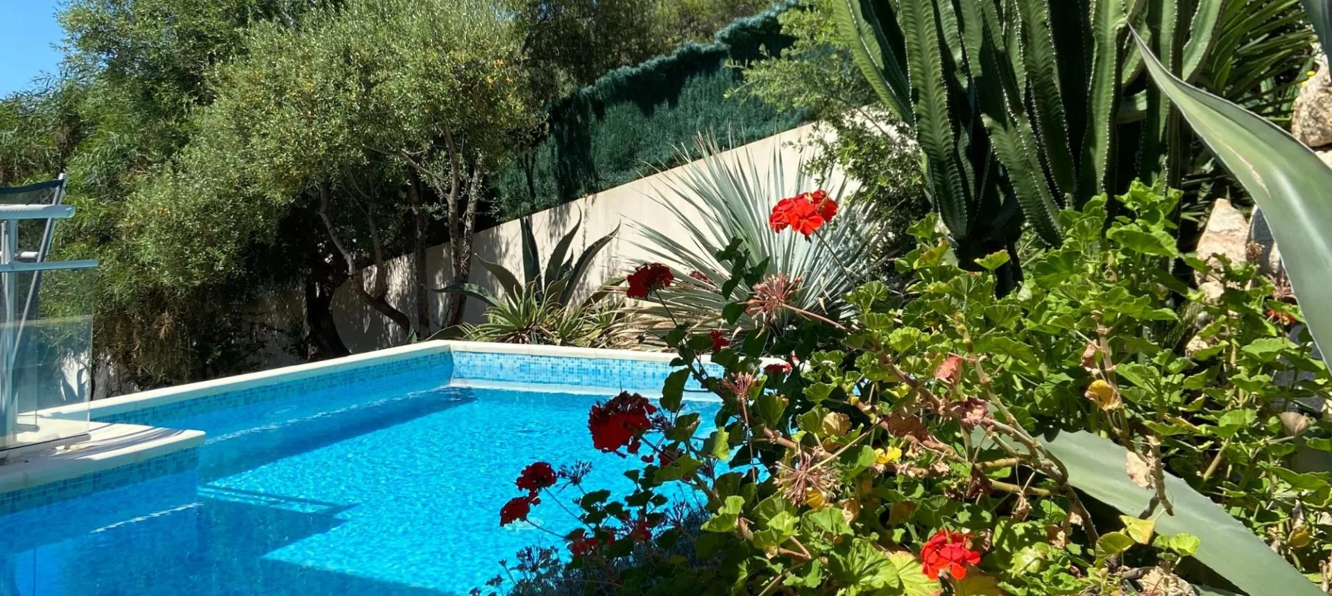 APPARTEMENT A VENDRE BARBICAJA 2