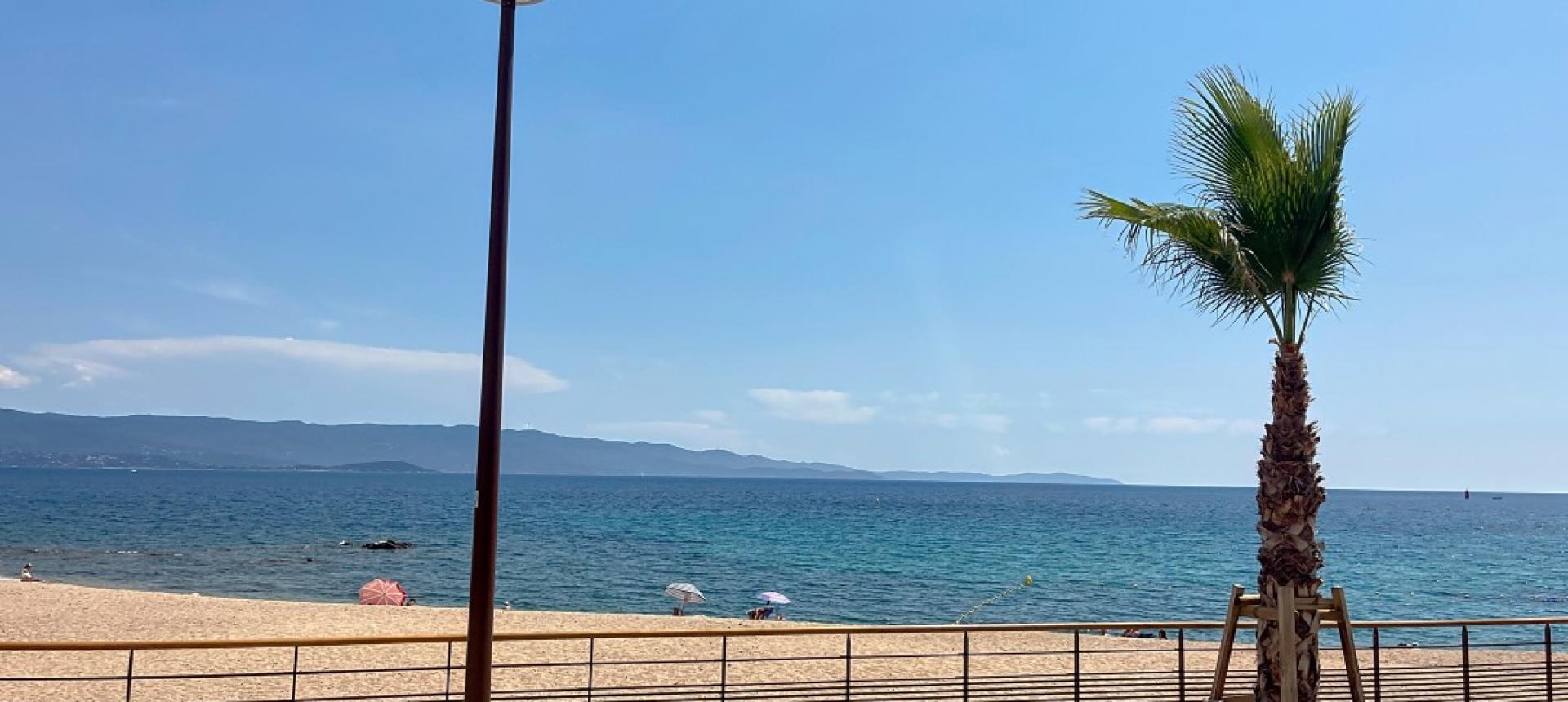 F3 à louer secteur Albert 1er à Ajaccio