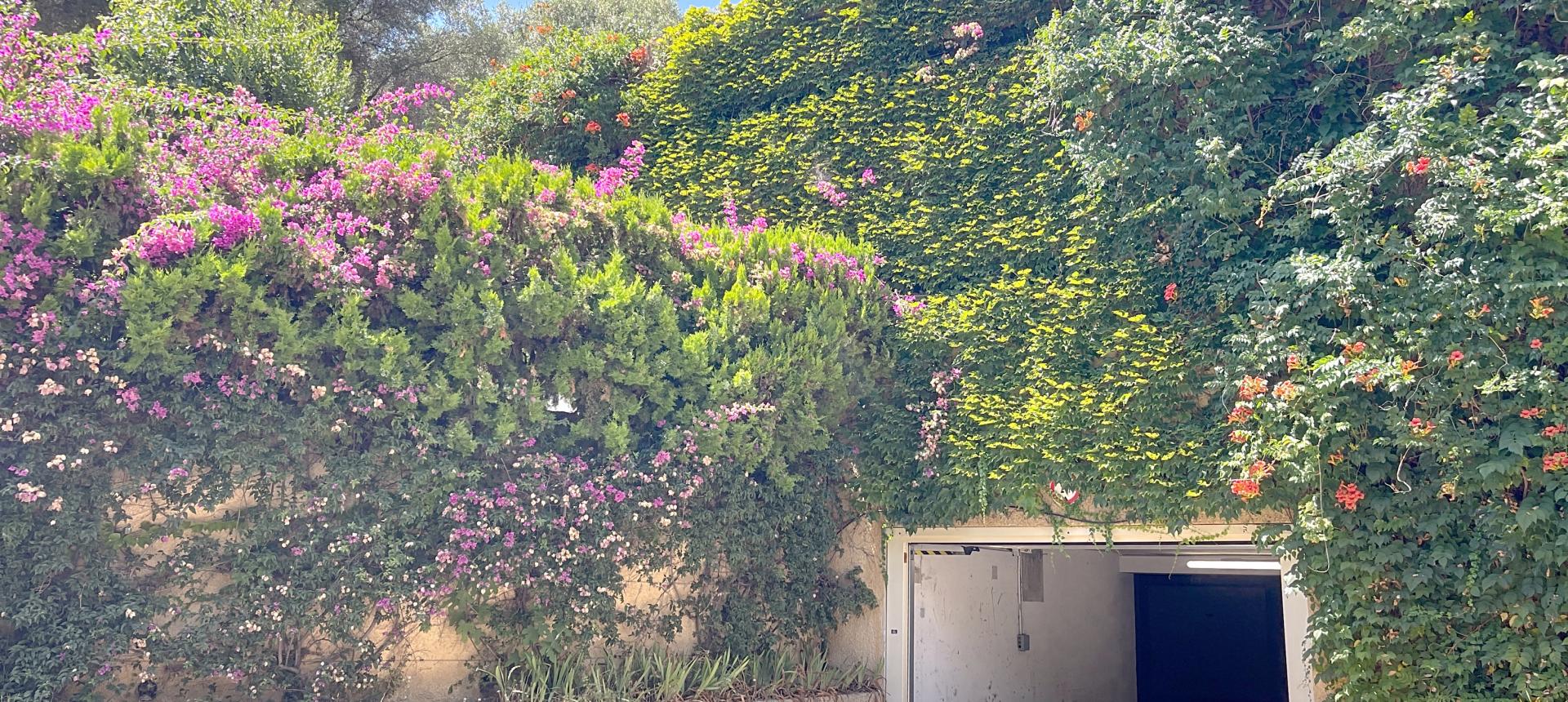 En Corse à Ajaccio location d'un garage quartier Aloès