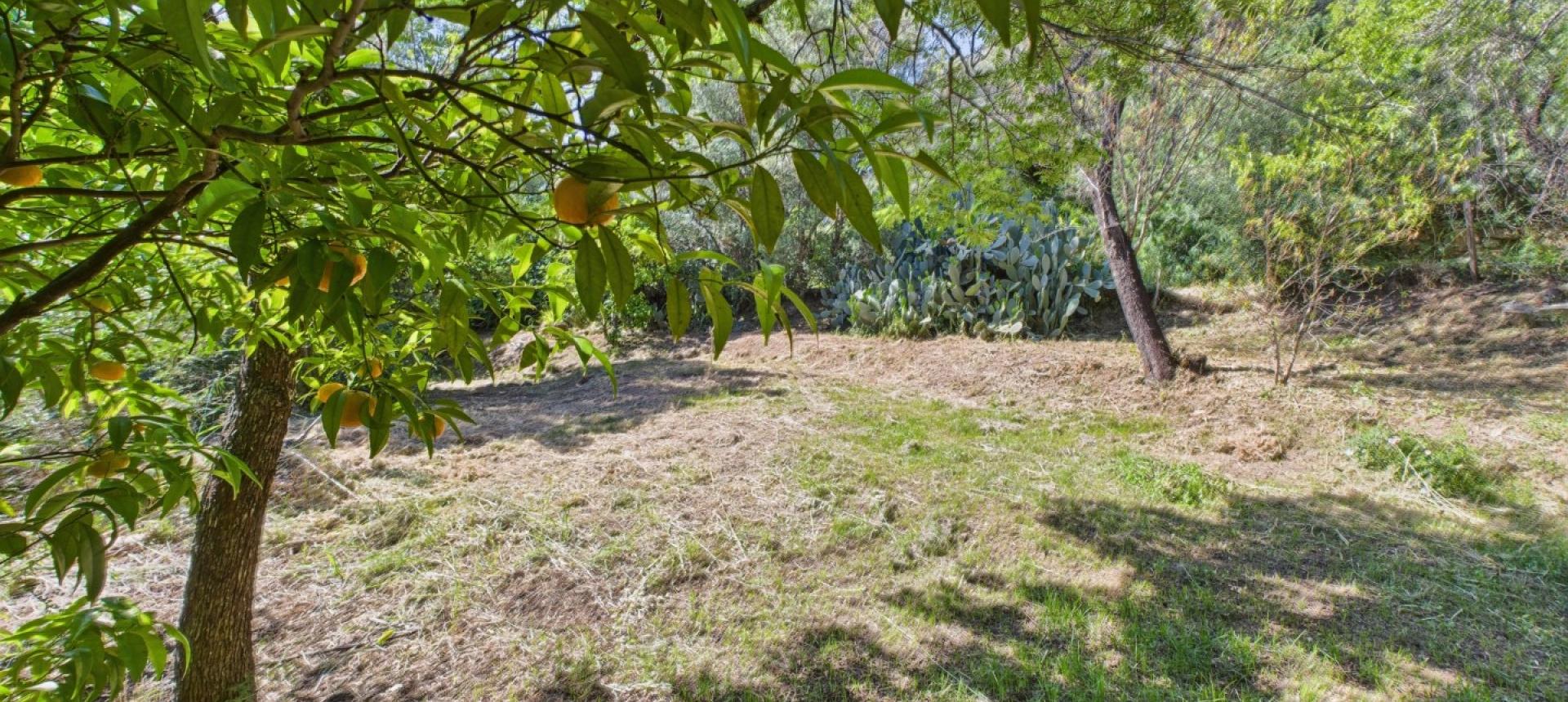VILLA A VENDRE PLAINE DE PERI
