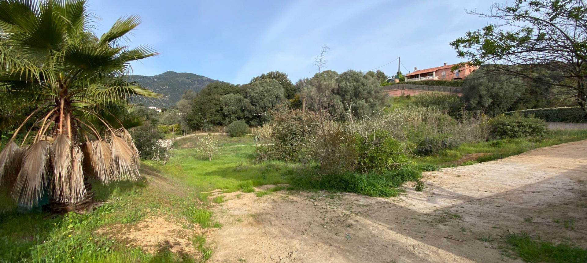 A vendre un terrain constructible à Ajaccio - Finosello