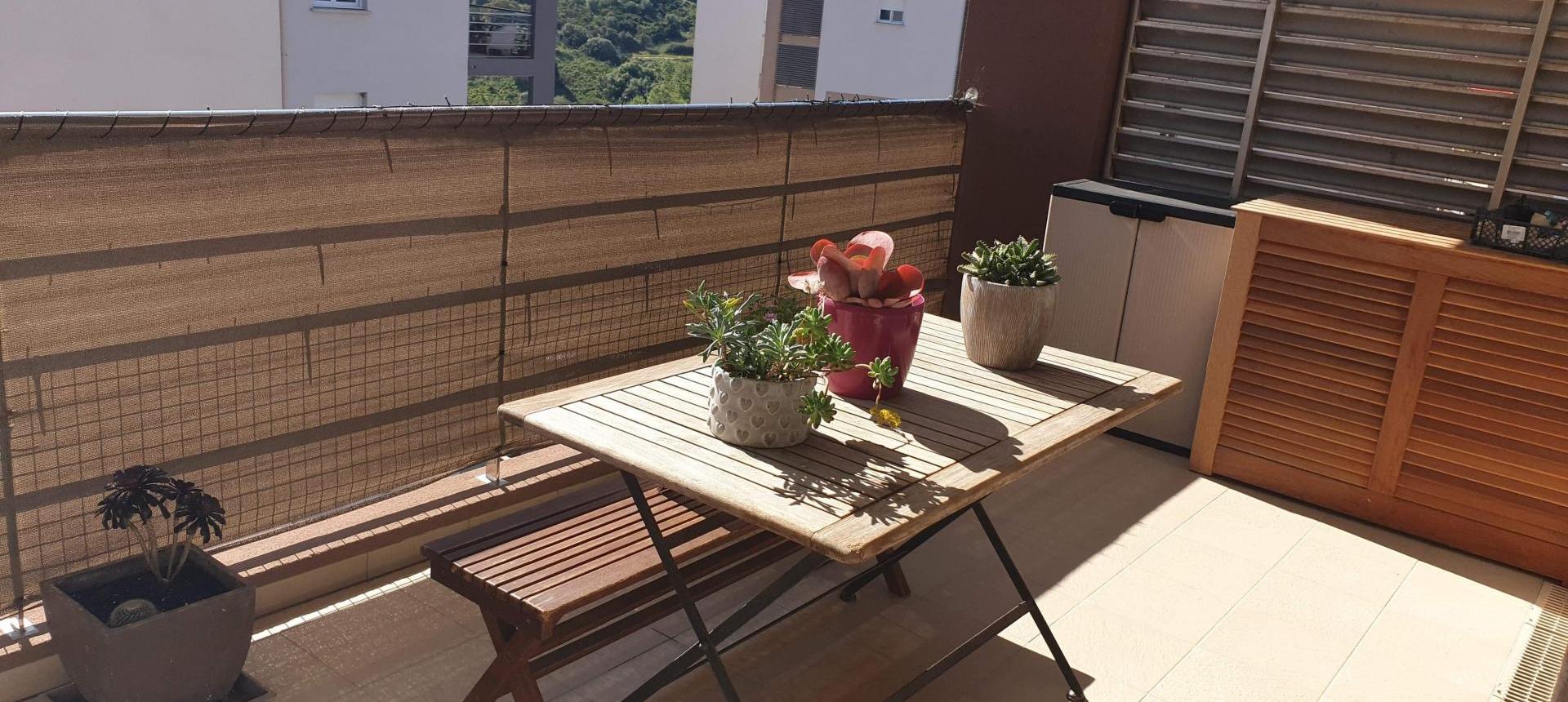 F3 à louer Terrasses du Parc  terrasse