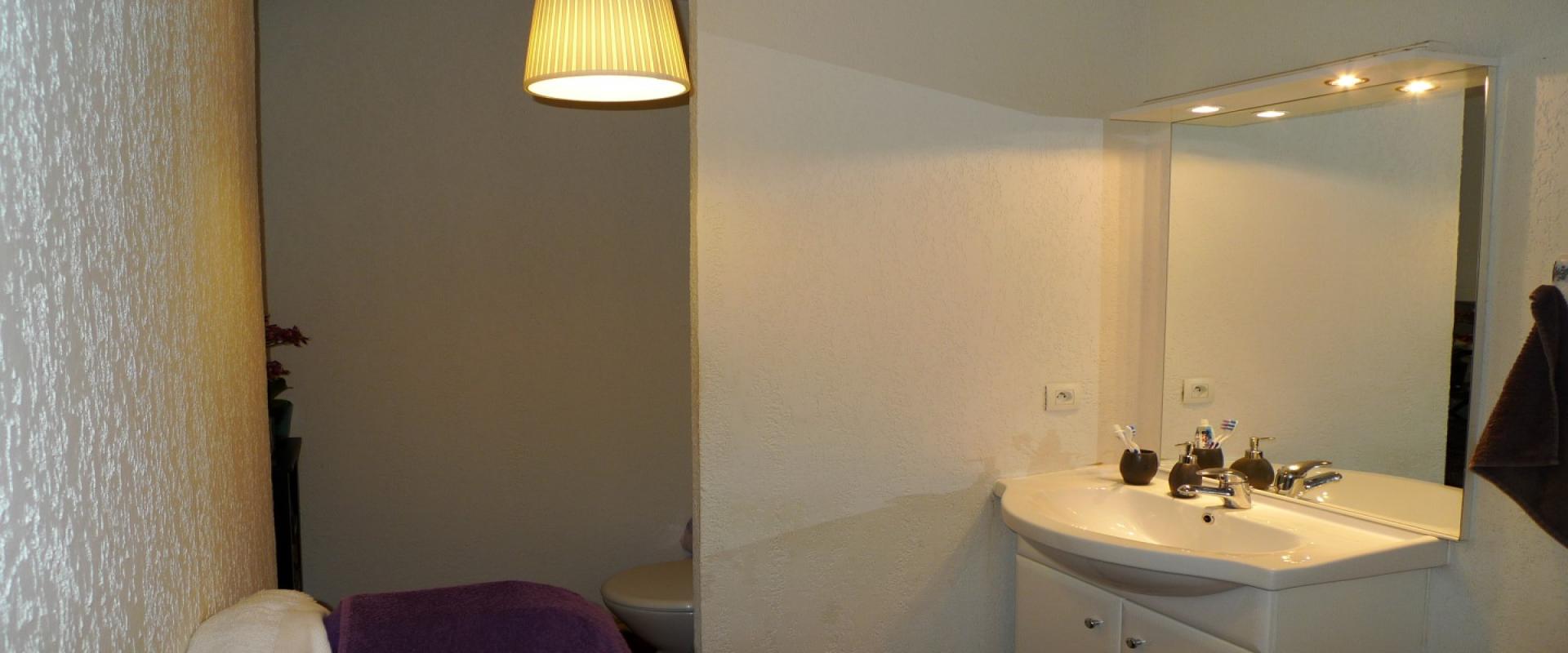 F2 à louer Sanguinaires le Feno salle de douche