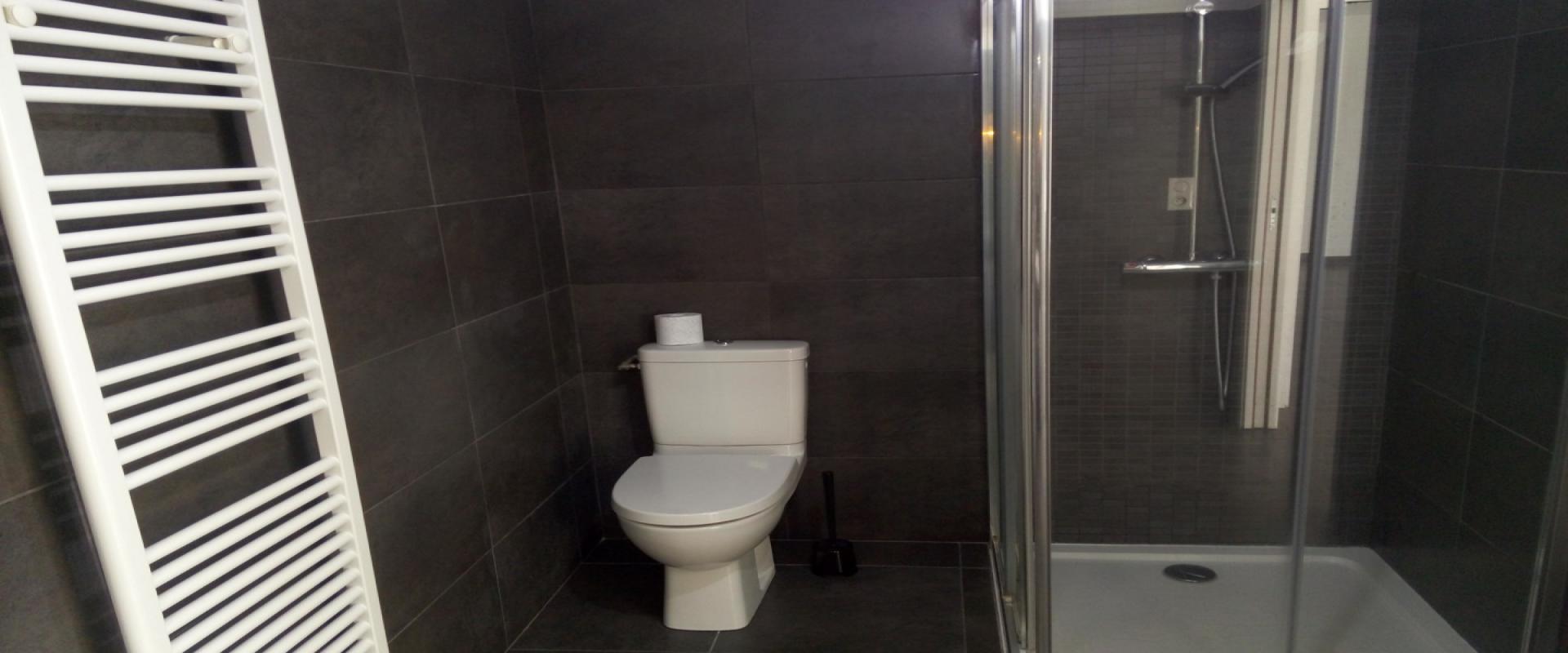 F2 ALBERT 1ER MEUBLE SALLE DE DOUCHE