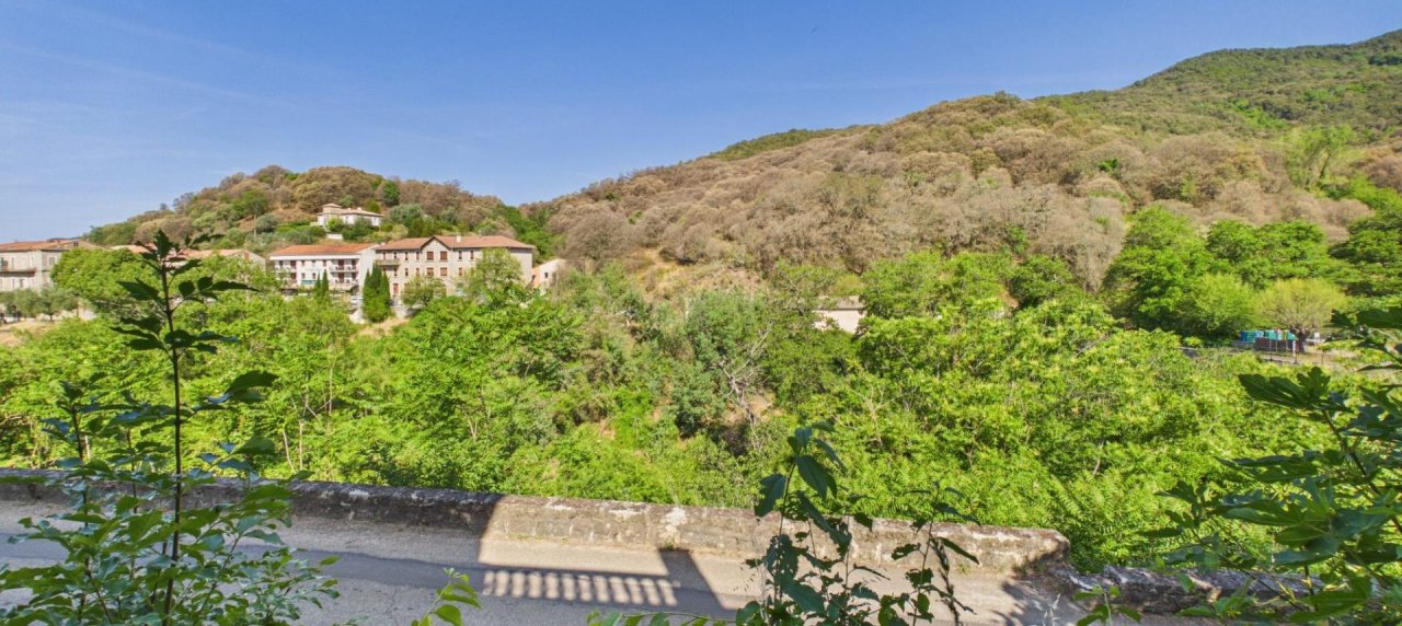 A VENDRE MAISON AUTHENTIQUE SAINTE MARIE SICHE