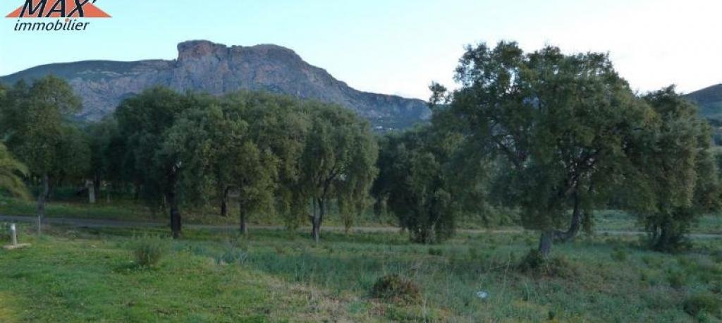 LOCATION SAISSONNIERE AJACCIO CORSE IMMOBILIER MAX
