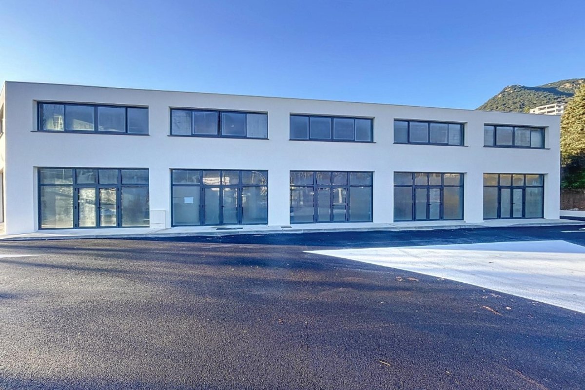 LOCAUX A VENDRE POLE DU GOZZI