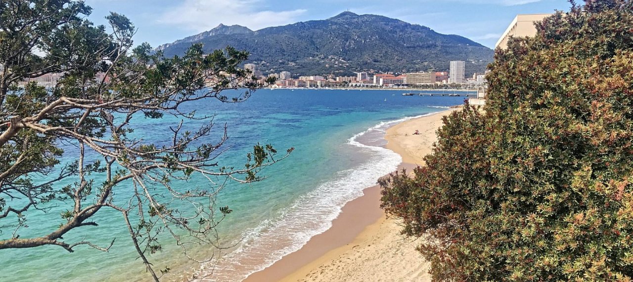 En Corse, à Ajaccio, un appartement de type F1 d'une superficie de 28 m² avec terrasse et un jardin privatif de 60m²