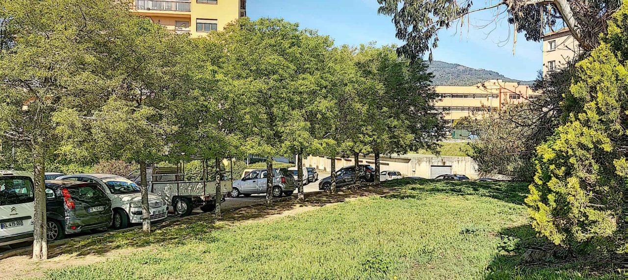 F3 Avenue Maréchal Juin jardin