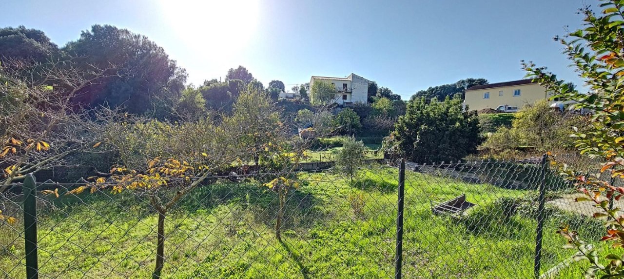 JARDIN 3 F4 BAS DE VILLA A LA VENTE PROCHE AJACCIO