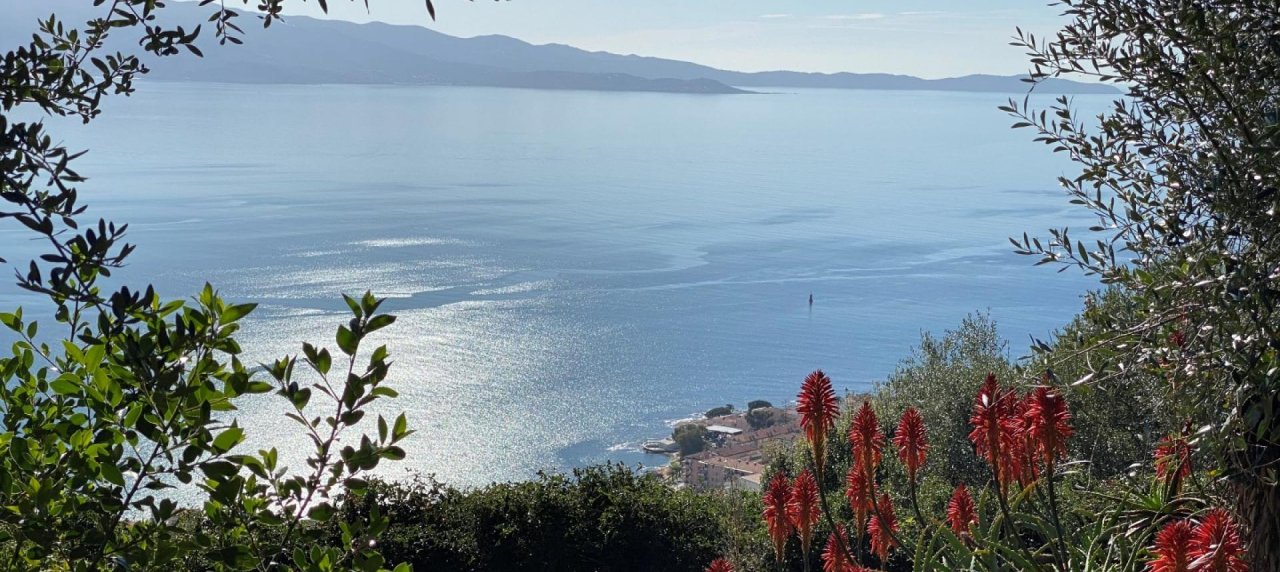 Ajaccio propriété de prestige - Salario
