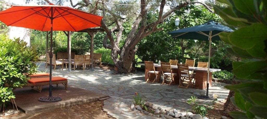 Grand jardin,  Maison F4 à louer proche de Coti Chiavari