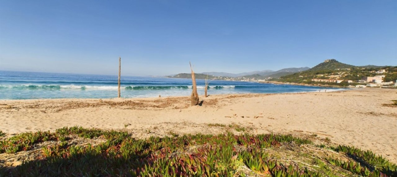 Studio à Vendre près d'Ajaccio - Calcatoggio, La Liscia